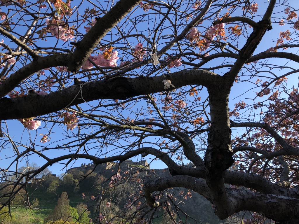 UNADJUSTEDNONRAW_thumb_e22